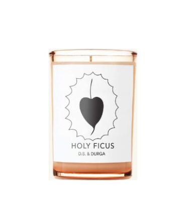 HOLY FICUS